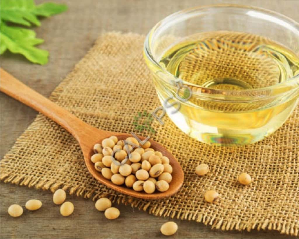 Acquista 100% Pure Soia Bean Bean Oil Essential Oil for Skin